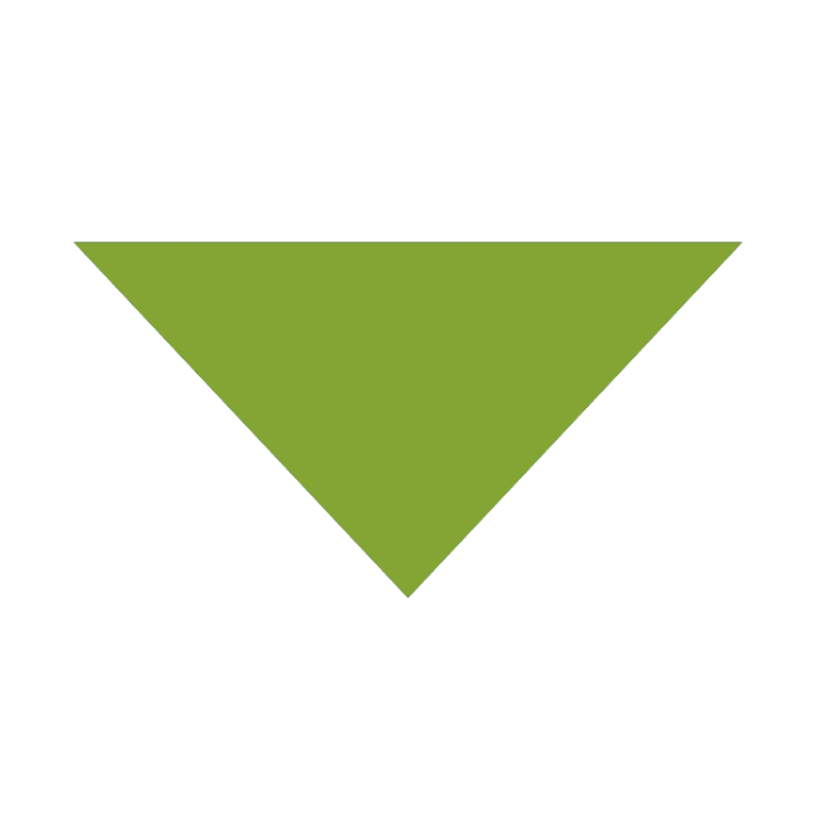 kiwi.png
